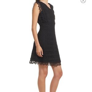 Amy Lynn Black Lace Mini Dress